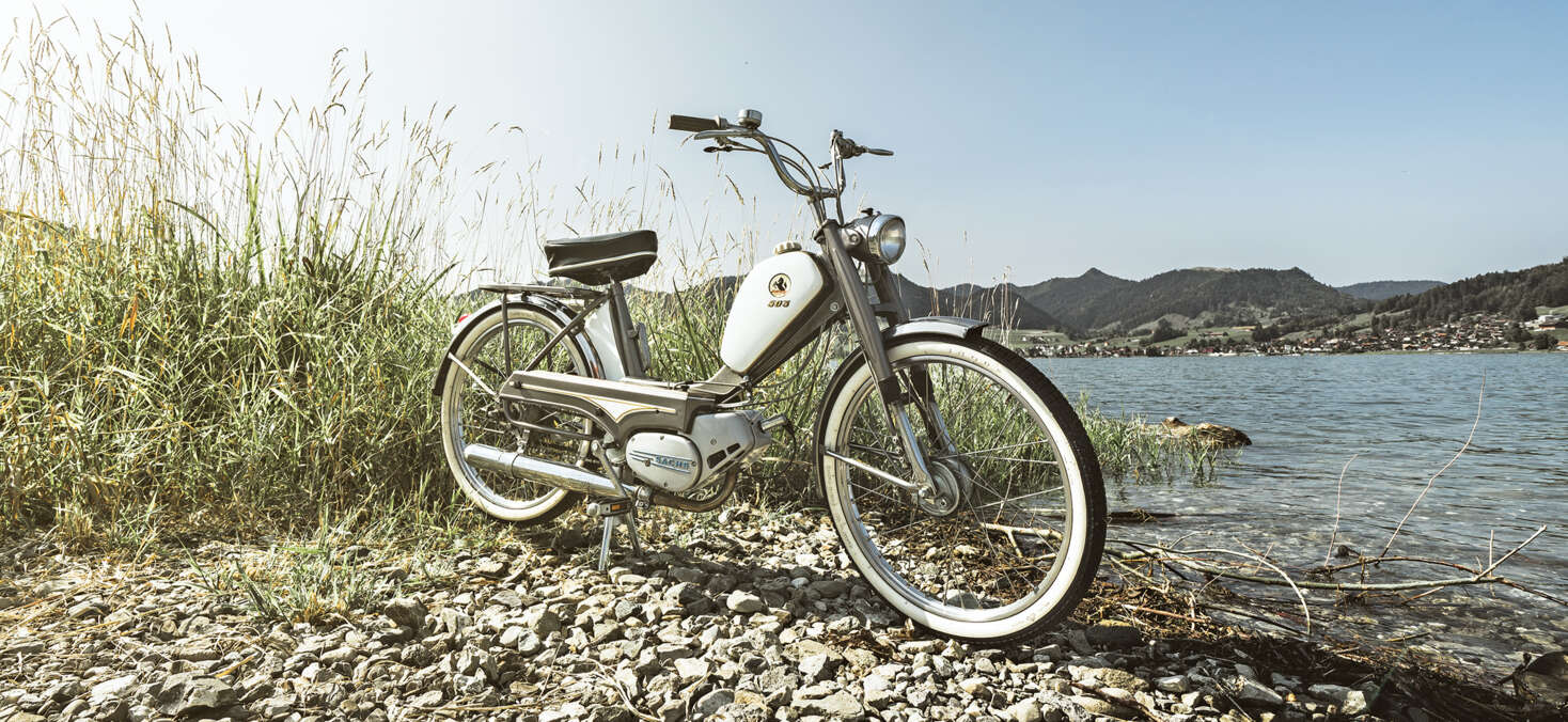 footer-image-1-pony-2259 × 1040 footer-image-1-pony-2259 × 1040