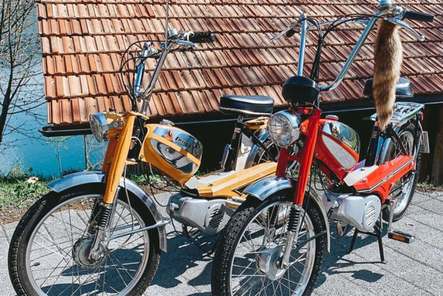 story-image-5-pony-1500 ×1000 story-image-5-pony-1500 ×1000