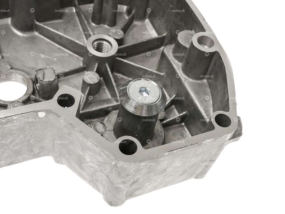 66HEROES Kick starter shaft cap "Puch" nickel-plated | Puch Z50 Carousel Image 6