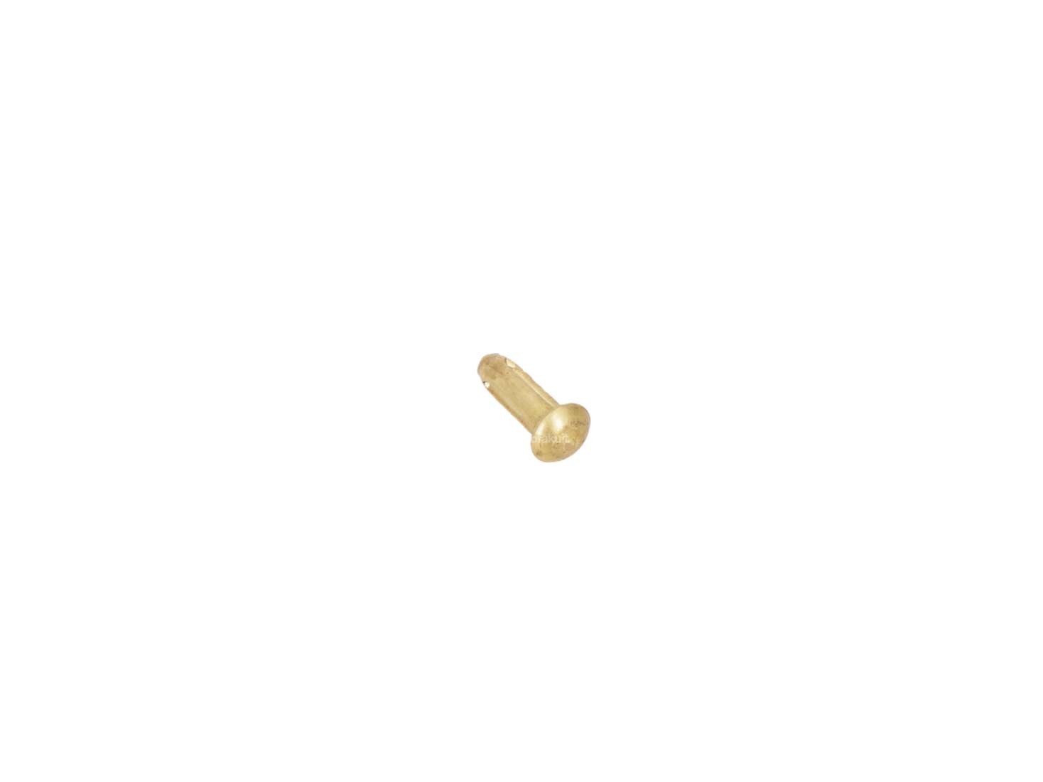 Notched nail 2 x 6 mm brass Carousel Image 2