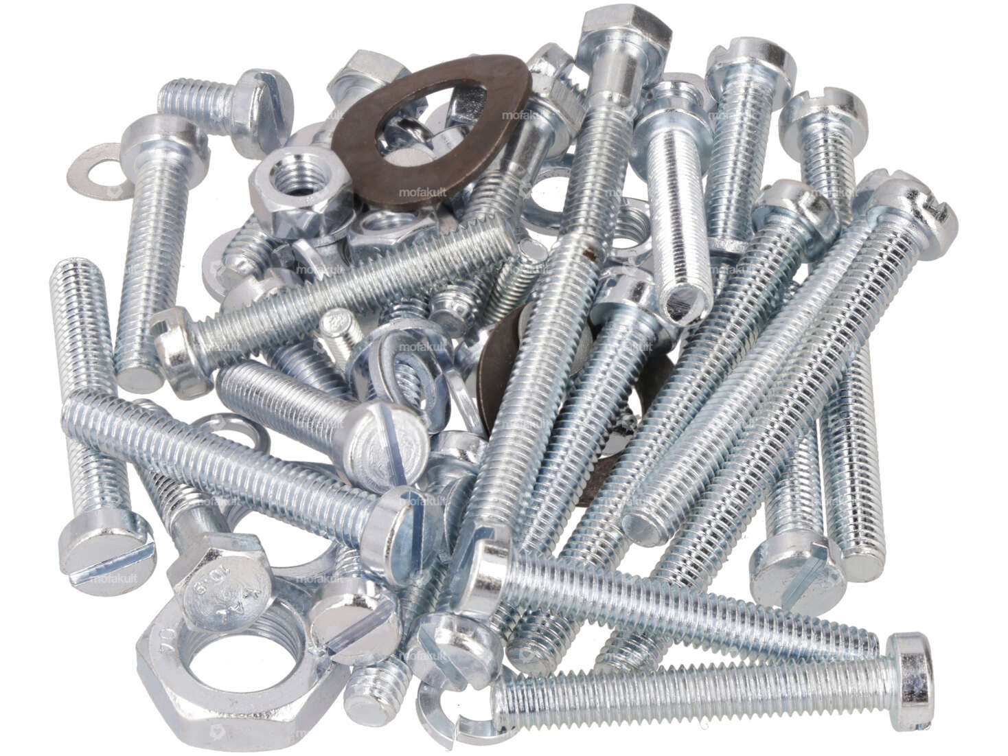 swiing® revival screw set motor galvanized | Sachs 503 Carousel Image 1