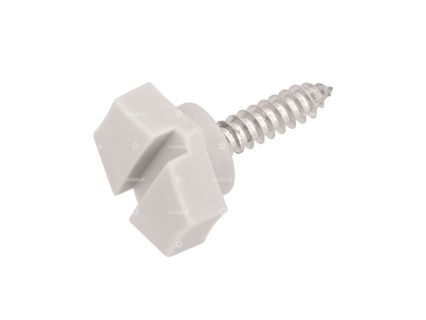 swiing® revival clamping screw with slotted chain guard gray | Pony GTX, GTA & KTM GP40 Carousel Image 1