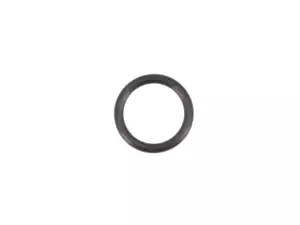 O-ring guide bushing circuit 10.1 x 1.6 mm | Sachs 505/3 O-ring guide bushing circuit 10.1 x 1.6 mm | Sachs 505/3