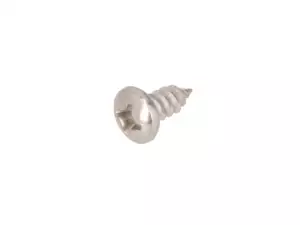 Tapping screw Ø 5.5x13 pan-head stainless steel Tapping screw Ø 5.5x13 pan-head stainless steel