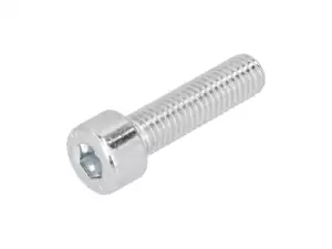 Screw M8x30 cylinder head hexagon socket, galvanized Screw M8x30 cylinder head hexagon socket, galvanized