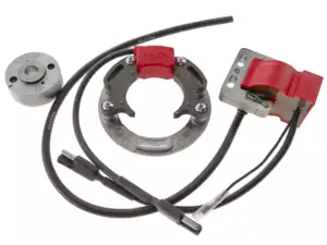 Selettra internal rotor ignition left-, right-turning Selettra internal rotor ignition left-, right-turning