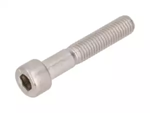 Screw M8x45 cylinder head shank hexagon socket stainless steel Screw M8x45 cylinder head shank hexagon socket stainless steel